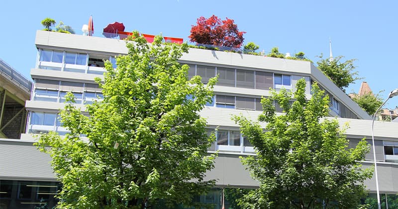 Vos bureaux de 1'490 m2 à louer à Lausanne centre (2)
