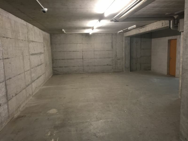 L'edificio Mont Immobili commerciale AV con parcheggi (3)