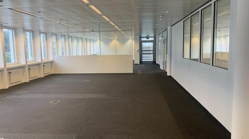 Letzte Büros verfügbar / Räumlichkeiten von 150 bis 185 m² in Renens (6)