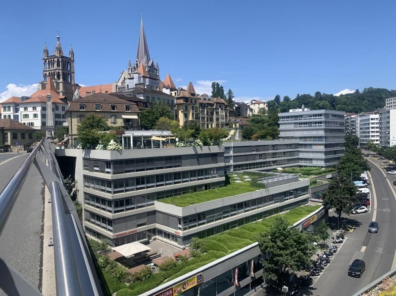 Spazi di ufficio divisibili da 550 a 1400² in affitto a Pont Bessières / Caroline / Rue Centrale (10)