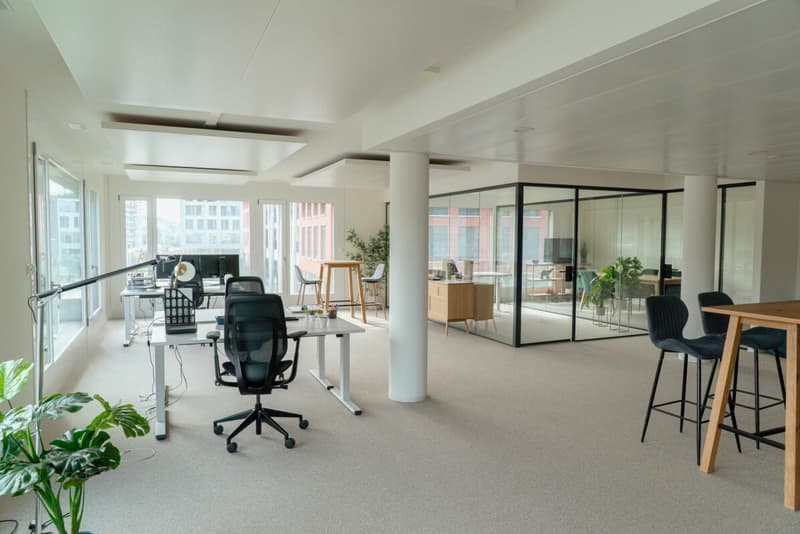Quartiere Horizons - Superficie amministrativa da 100 a 500 m², metropolitana M1 (8)