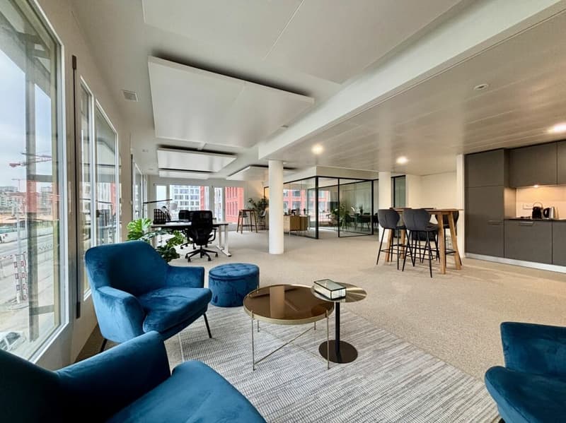 Quartiere Horizons - Superficie amministrativa da 100 a 500 m², metropolitana M1 (6)