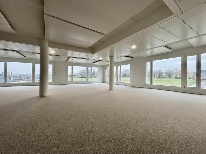 Quartiere Horizons - Superficie amministrativa da 100 a 500 m², metropolitana M1 (5)