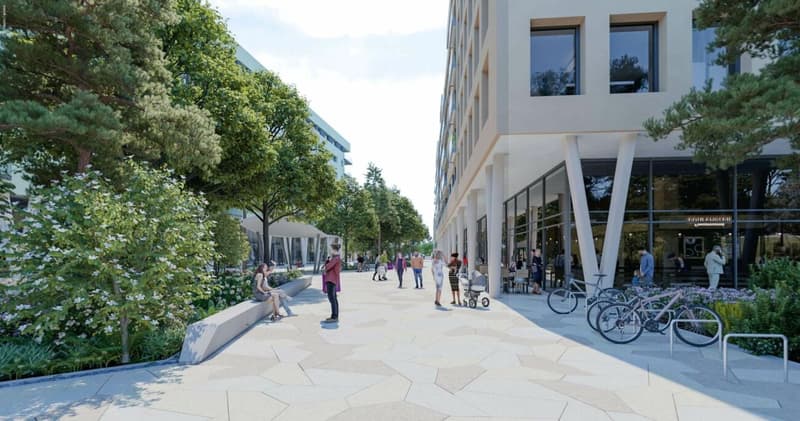 Quartiere Horizons En Dorigny - Arcate Commerciali e Showroom (6)
