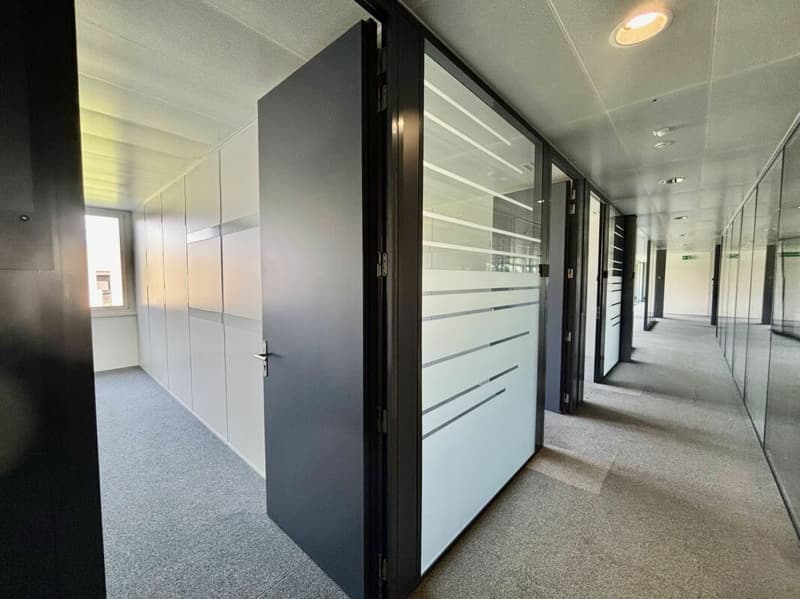 Superba superficie di ufficio da 350 a 1500 m2 in un ambiente molto bello, molto accessibile: CFF & Autostrada (5)