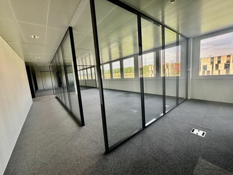 Superba superficie di ufficio da 350 a 1500 m2 in un ambiente molto bello, molto accessibile: CFF & Autostrada (2)