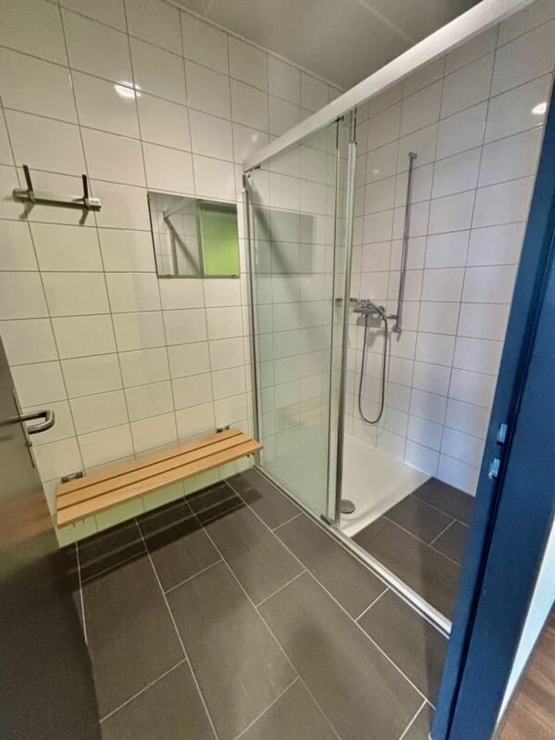 Superba superficie di ufficio da 350 a 1500 m2 in un ambiente molto bello, molto accessibile: CFF & Autostrada (9)
