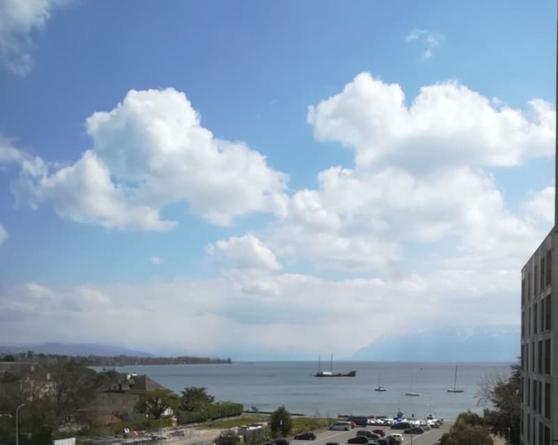 Eine Fläche wird frei! Nahe am See, Verkehr, Büro von 360 m2 zur Miete in Morges (13)