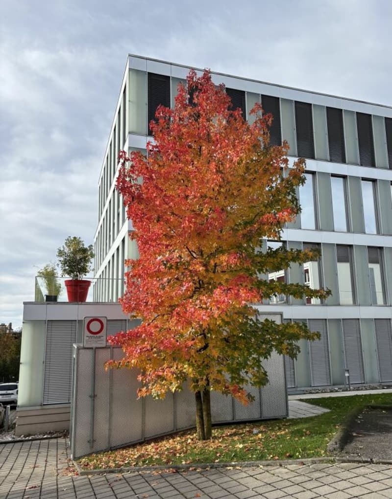 Last available space of 120 m², offices to rent immediately in Lausanne (9)