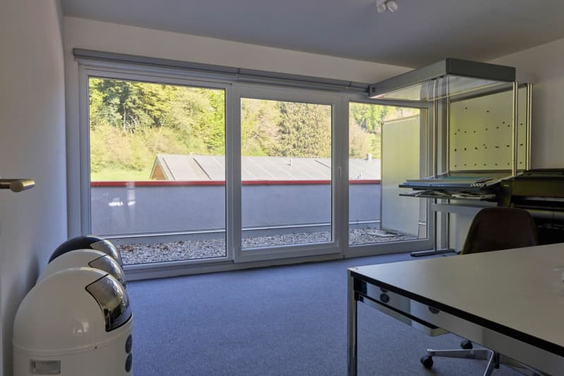 Belle surface administrative avec grande terrasse 200 m2 ! (6)