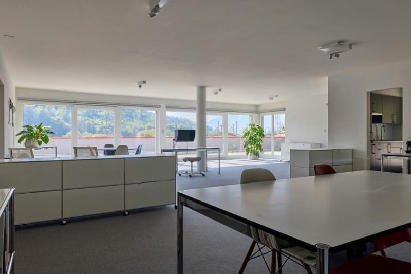 Belle surface administrative avec grande terrasse 200 m2 ! (2)