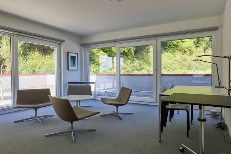 Belle surface administrative avec grande terrasse 200 m2 ! (5)