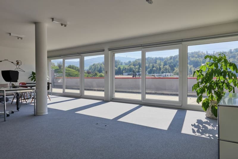 Belle surface administrative avec grande terrasse 200 m2 ! (7)