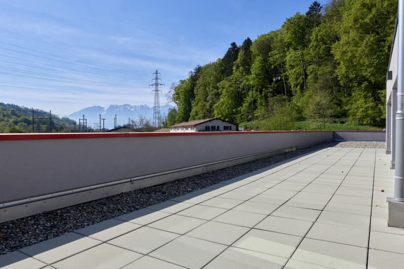 Belle surface administrative avec grande terrasse 200 m2 ! (9)