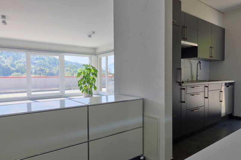 Belle surface administrative avec grande terrasse 200 m2 ! (8)