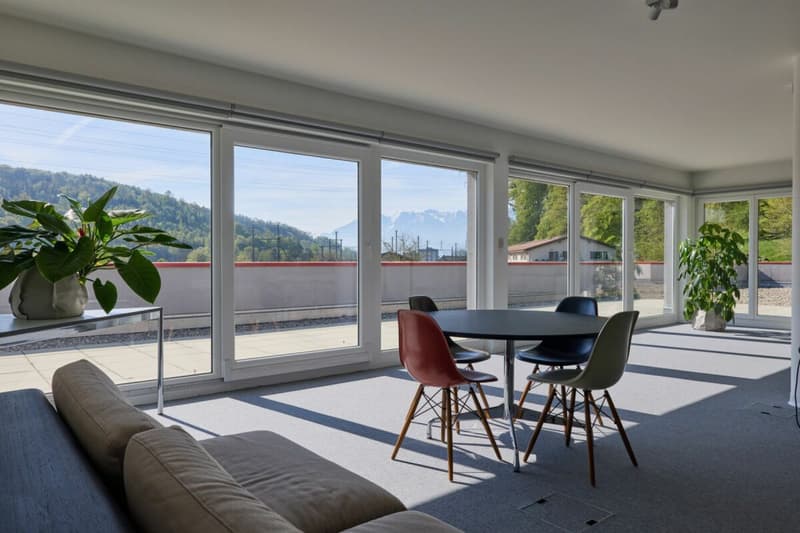 Belle surface administrative avec grande terrasse 200 m2 ! (1)
