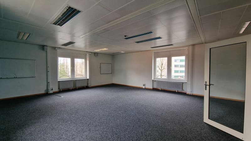 Magnificent independent building - 1000m² close to UNIL EPFL (2)