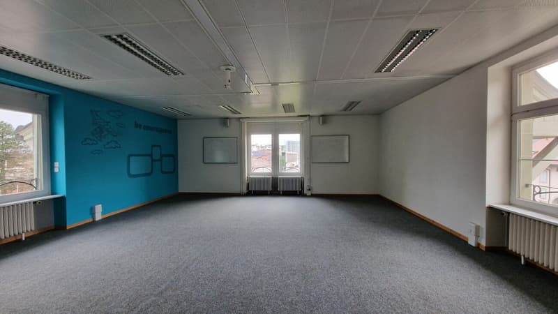 Magnificent independent building - 1000m² close to UNIL EPFL (4)