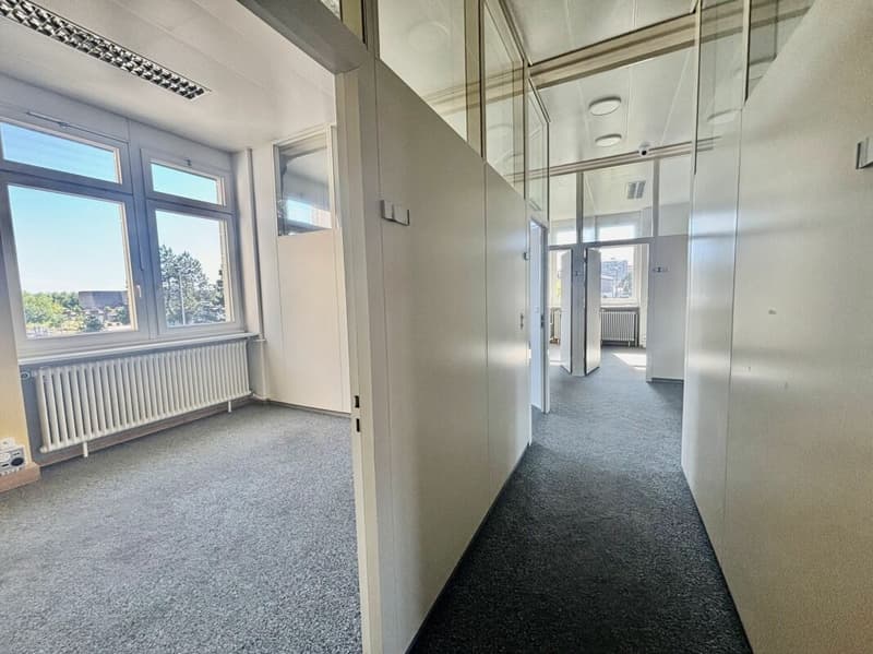 Magnificent independent building - 1000m² close to UNIL EPFL (5)