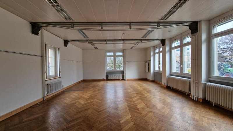 Magnificent independent building - 1000m² close to UNIL EPFL (3)