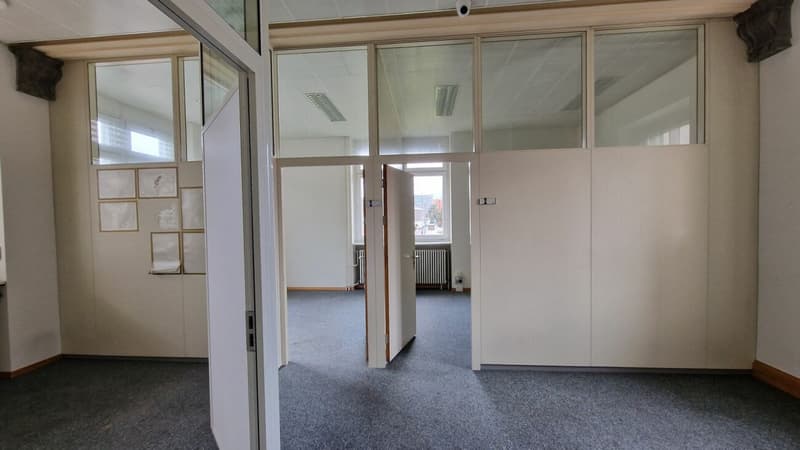 Magnificent independent building - 1000m² close to UNIL EPFL (6)