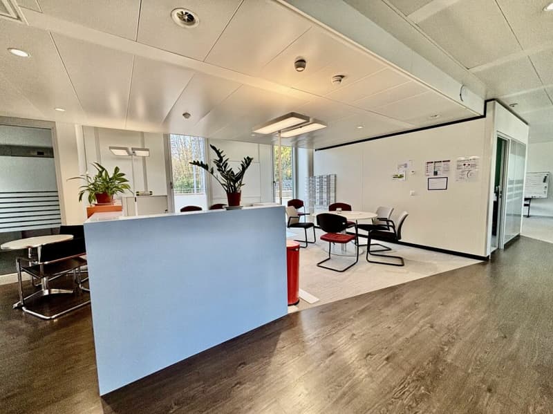 Large office plateau of 850 m2, divisible into 450 m2, near Morges train station! (1)