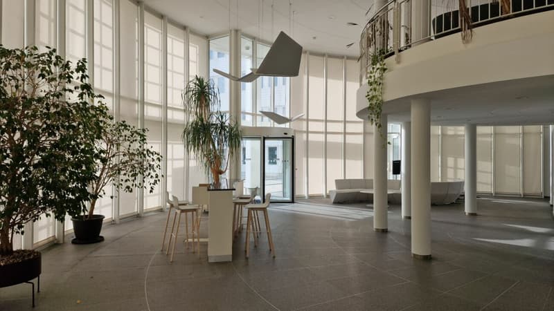 Bureaux modernes disponibles immédiatement à Renens (8)