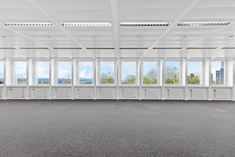 Bureaux modernes disponibles immédiatement à Renens (6)