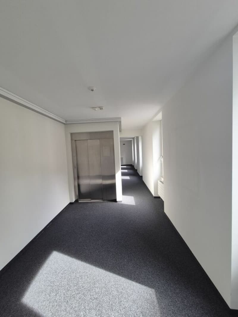 Nyon Place Bel-Air (7)