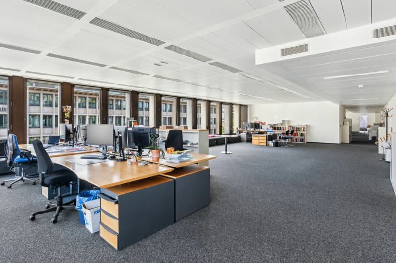 2 plateaux divisibles de 685 m² avec vue sur le lac (5)