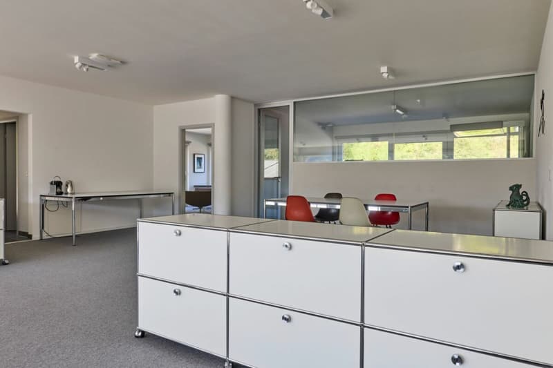 Belle surface administrative avec grande terrasse 200 m2 ! (4)