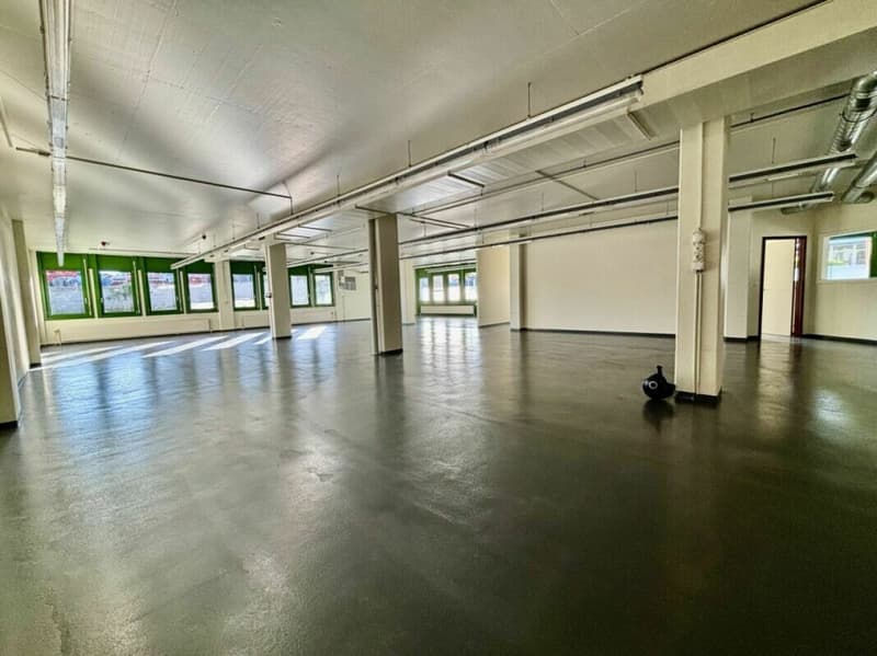 Bureaux, locaux commerciaux, atelier ou laboratoires de plain pied de 350 à 800 m2 (3)