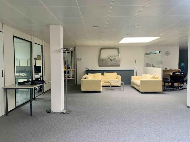 Vaud bureaux, locaux commerciaux, atelier, labo avec dépots Ouest lausanne (1)