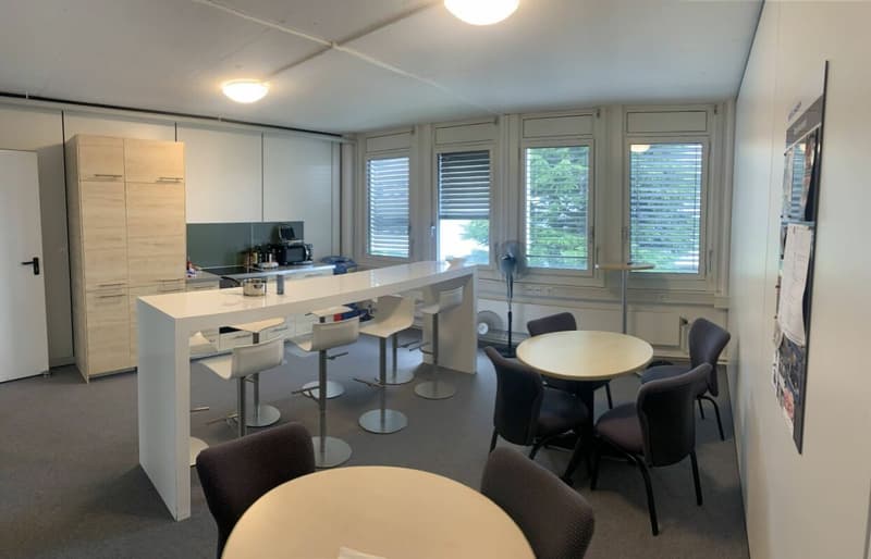 Vaud bureaux, locaux commerciaux, atelier, labo avec dépots Ouest lausanne (6)