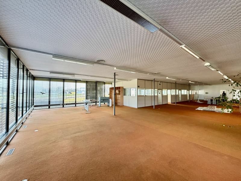 A louer: divers LOCAUX commerciaux, HALLS, TERRAINS nus et COUVERTS dans site industriel (11)