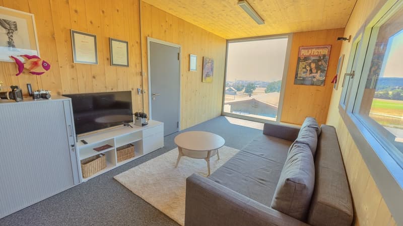 living room with wooden walls, gray couch, white coffee table, flat screen TV, white shelves, carpet, large windows