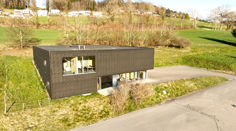 Modern house, black exterior, large windows, flat roof, driveway, surrounded by green fields and trees