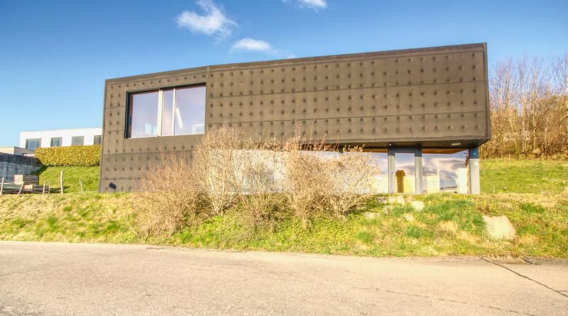 Modern house, raised ground floor, large windows, concrete exterior, green grass, road