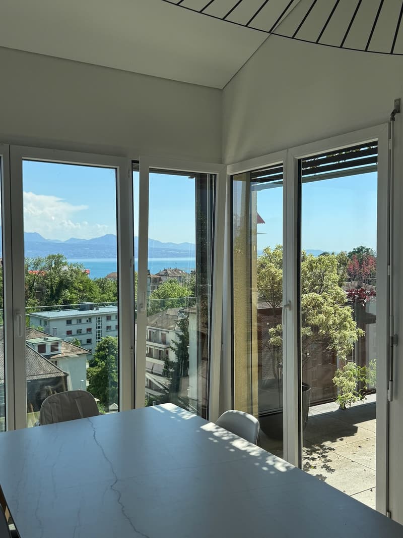 Elegance, light and panorama on Lake Geneva (4)