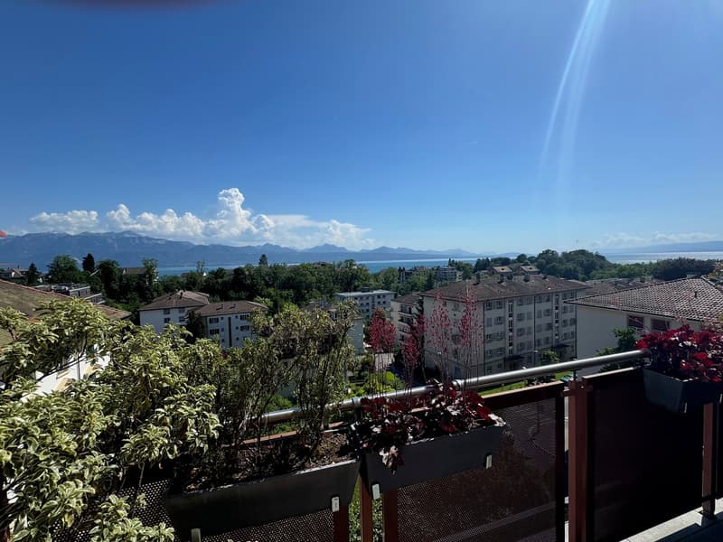 Elegance, light and panorama on Lake Geneva (13)