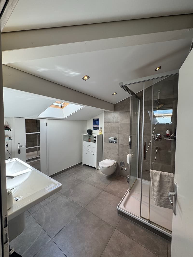 Elegance, light and panorama on Lake Geneva (10)