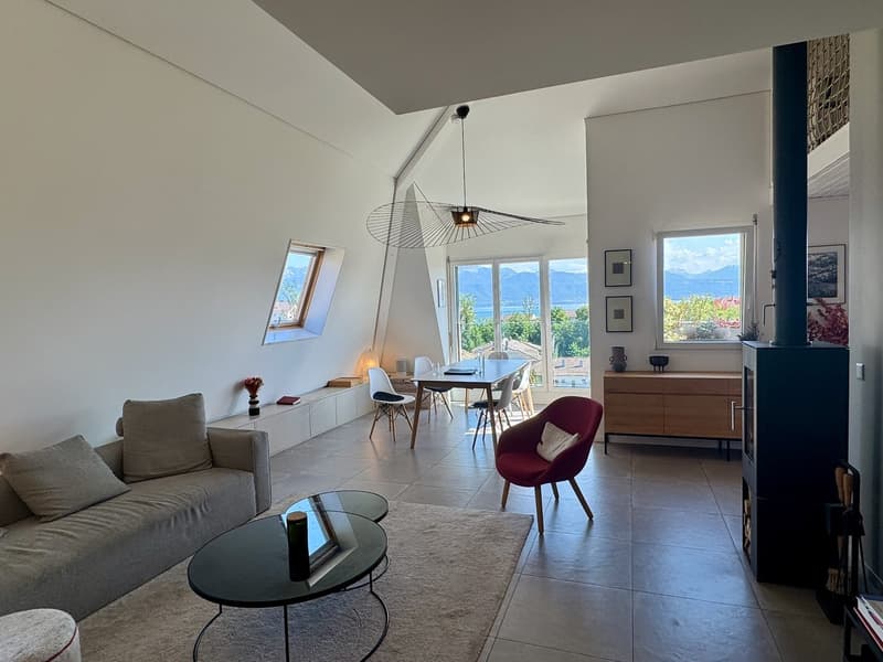 Elegance, light and panorama on Lake Geneva (3)