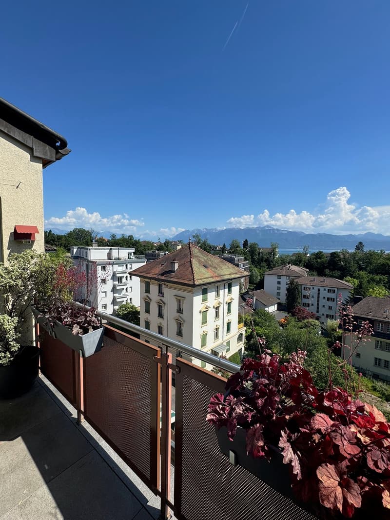 Elegance, light and panorama on Lake Geneva (14)