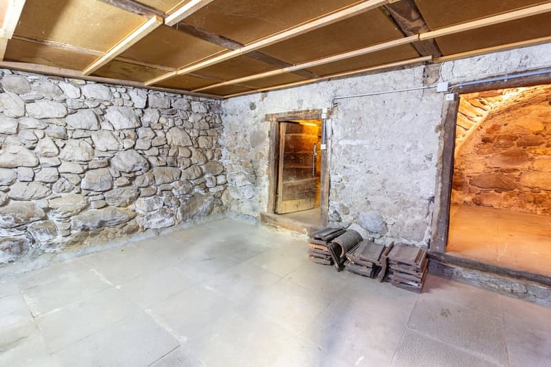 Saint-Gingolph - belle bâtisse avec appartement indépendant (16)