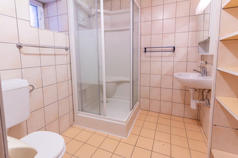 Saint-Gingolph - belle bâtisse avec appartement indépendant (15)
