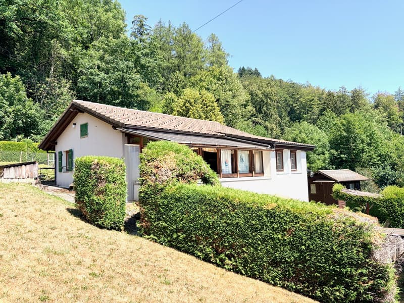 Vauderens – jolie maison dans un écrin de nature (2)