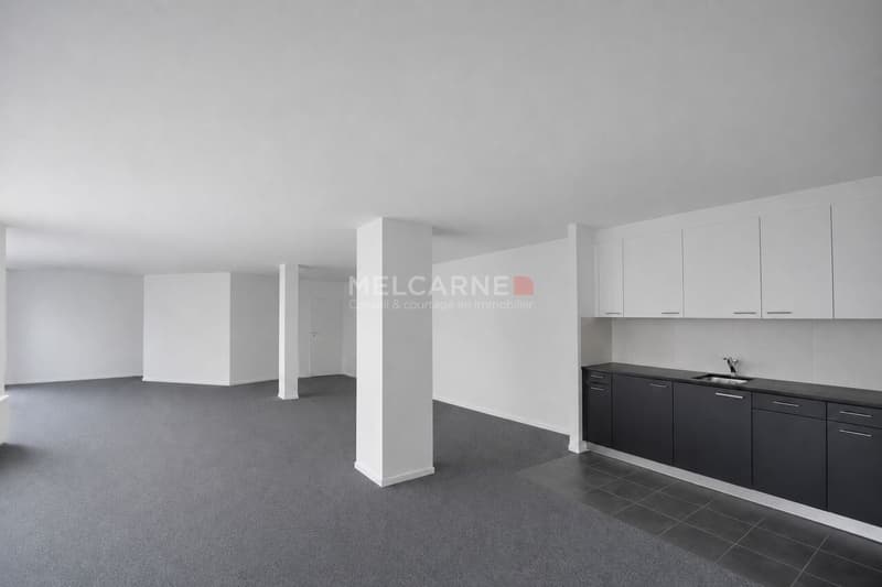 Bureaux de 101 m² en open space au coeur de Genève (2)
