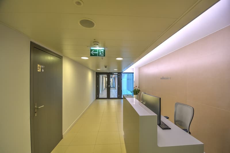 Bureaux à louer 300 m2, Rue du Rhône (3)