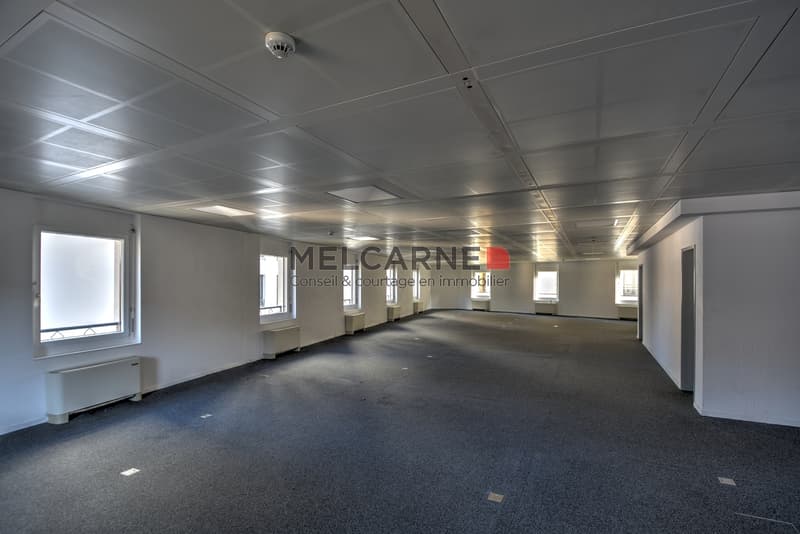 Uffici in affitto - Rive Droite - 245m2 (2)