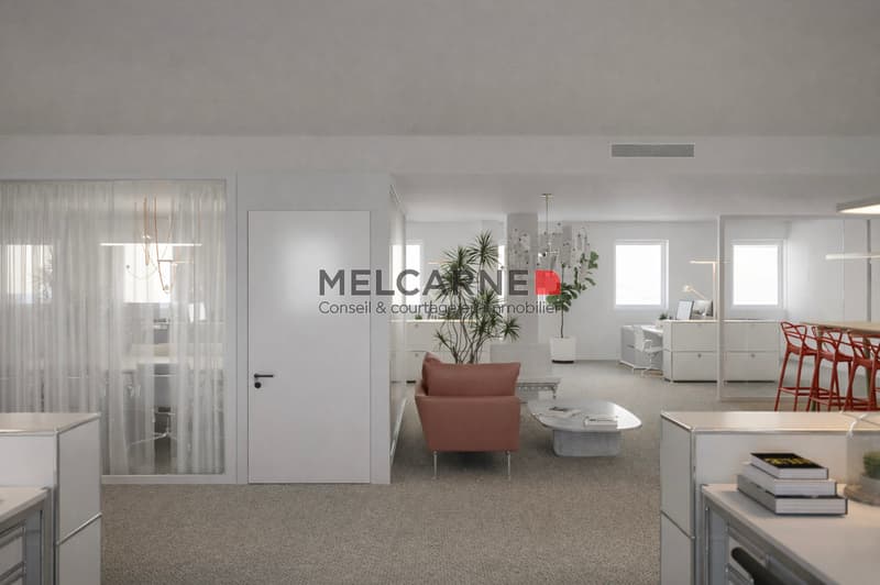 280m2 de bureaux à Plainpalais (4)
